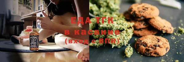 индика Балахна
