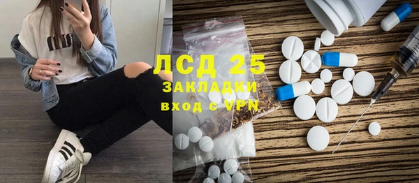 индика Балахна