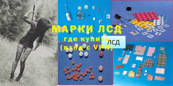 индика Балахна