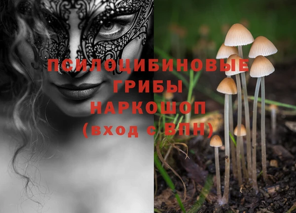 индика Балахна