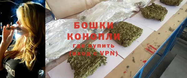 ПСИЛОЦИБИНОВЫЕ ГРИБЫ Балабаново