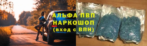 ПСИЛОЦИБИНОВЫЕ ГРИБЫ Балабаново