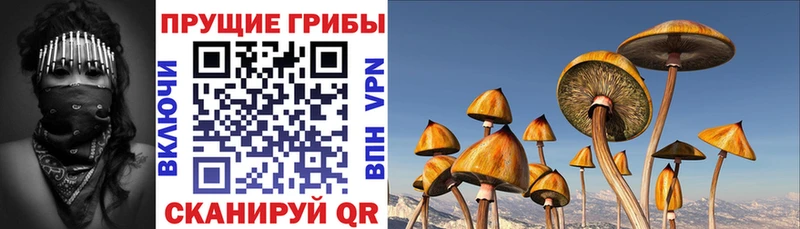 Галлюциногенные грибы GOLDEN TEACHER  Ладушкин 